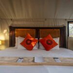 Buffalo_Rock-Double-Bed