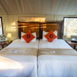 Buffalo_Rock-Twin-Bed