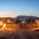 Ivory-Tree-Game-Lodge-18-1024x768