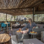 Ivory-Tree-Game-Lodge-2-1024x768