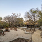 Ivory-Tree-Game-Lodge-219-1024x768