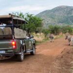 IvoryTree-65-1024x684-1