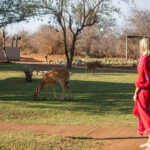 Makalali-River-Lodge-Common-Area