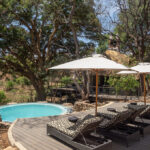 Makalali-River-Lodge-View-from-Pool