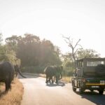 Nkuhlu-Tented-Camp-Safari