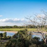 Nkuhlu-Tented-Camp-View-from-Room-1