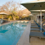 Shepherds-Tree-Game-Lodge-Pool-Area-1024x600