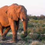 gallery-16-1024x683-1024x683