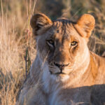 gallery-25-1024x683-1024x683