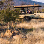 gallery-28-1024x683-1024x683