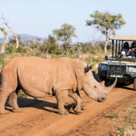 gallery-35-1024x683-1024x683