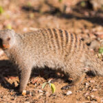 gallery-43-1024x683-1024x683