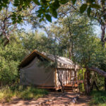 gallery-77-1024x683-1024x683