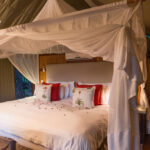 gallery-80-1024x683-1024x683