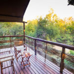 gallery-83-1024x683-1024x683