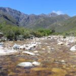 ogf_IMG_2844-1030x686