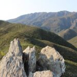 ogf_IMG_7521-1030x686